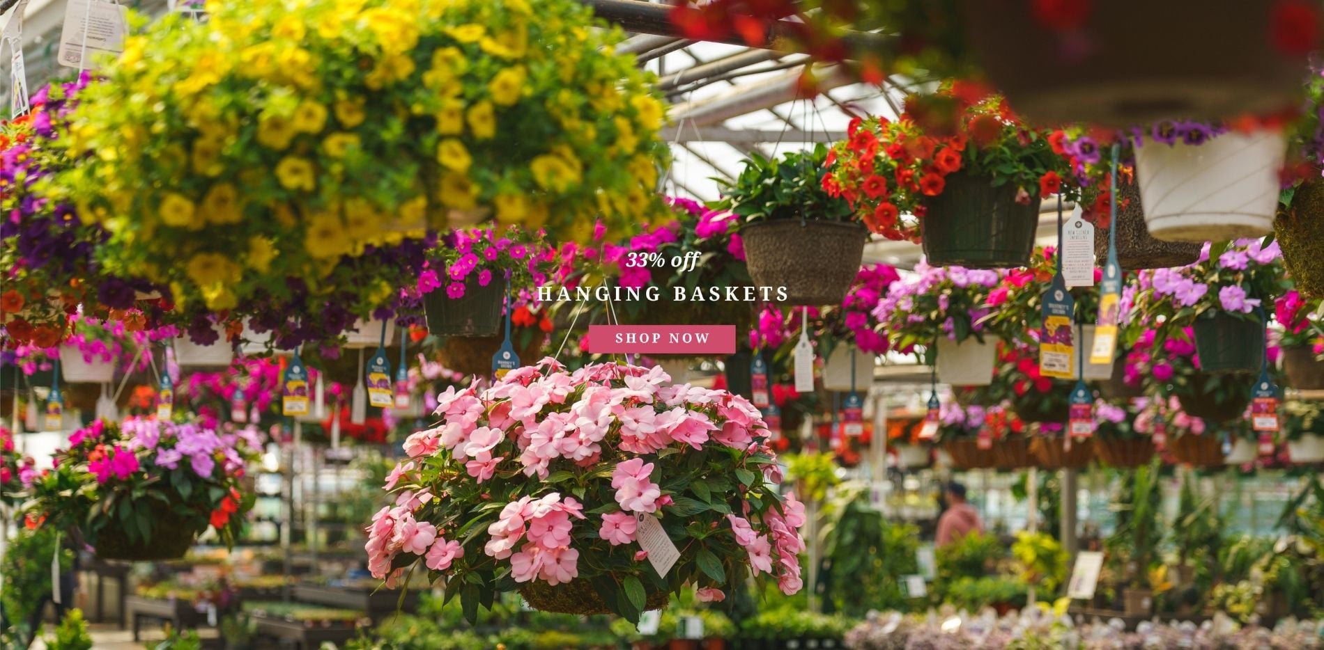 Hanging Baskets