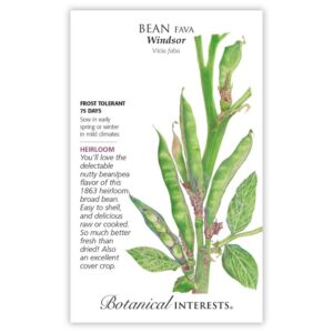 Botanical Interests - Bean Fava - Windsor Seeds