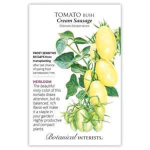 Tomato Bush – Cream Sausage Seeds