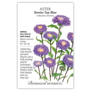 Aster – Bonita Top Blue Seeds