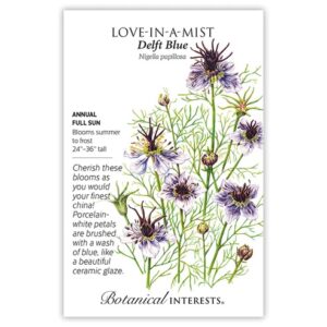 Delft Blue – Love-In-A-Mist Seeds