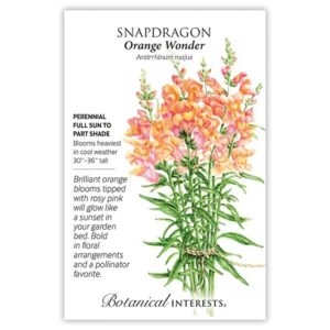 Snapdragon – Orange Wonder Seeds