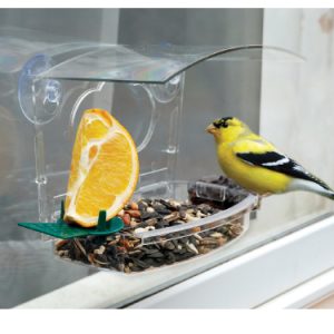 Mixed Treat Window Feeder – Audubon
