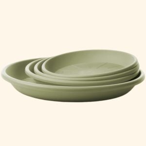 9.5″ Medea Plant Saucer – Rosemary