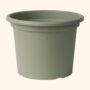 Geo Pot - Alfresco - Rosemary - 7.75"