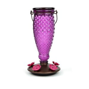 Diamond Top-Fill Glass Hummingbird Feeder – Perky Pet® – Wine – 24 oz
