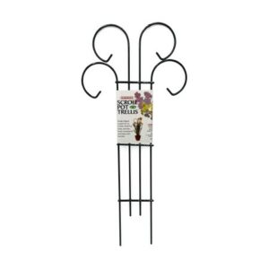 Mini Scroll Pot Trellis - 18"