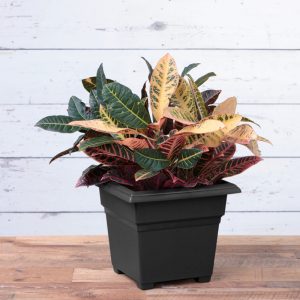 Countryside Tub Planter - Black - 14"