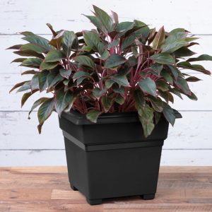 Countryside Tub Planter 18″ – Black