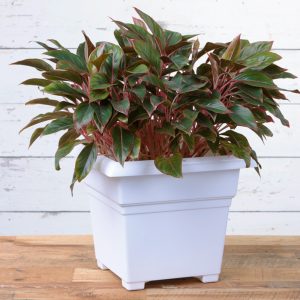 Countryside Tub Planter 18″ – White