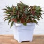 Countryside Tub Planter 18″ – White