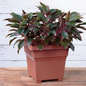 Countryside Tub Planter 18″ – Terra