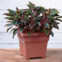 Countryside Tub Planter 18″ – Terra