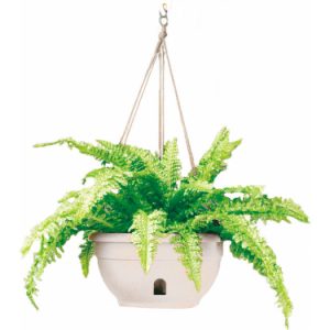 EEZY GRO Self-Watering Hanging Basket 12″ – White