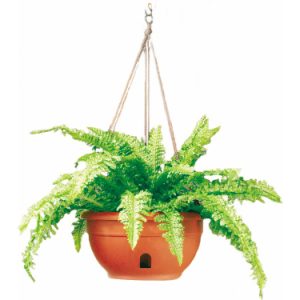 EEZY GRO Self-Watering Hanging Basket 12″ – Terra Cotta