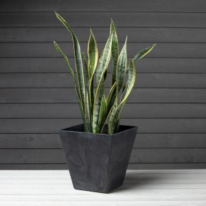 Ella Square Planter 14″ – Artstone Black
