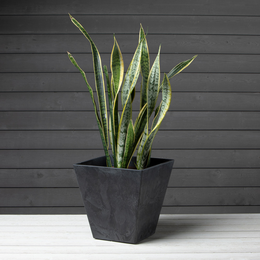 Ella Square Planter 14" - Artstone Black | Mahoney's Garden Center