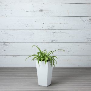 Ella Tall Planter 19.5″ – Artstone White