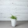Ella Tall Planter 19.5″ – Artstone White