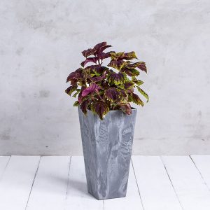 Ella Tall Planter 27.5″ – Artstone Grey
