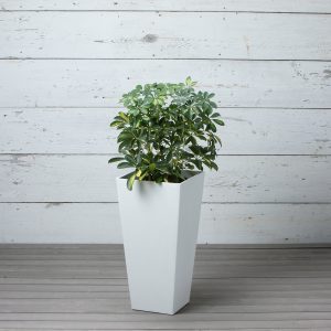 Ella Tall Planter 27.5″ – Artstone White