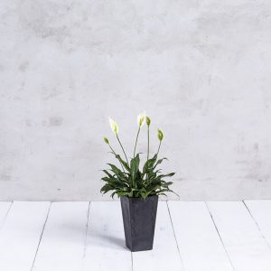 Ella Tall Planter 13.5″ – Artstone Black