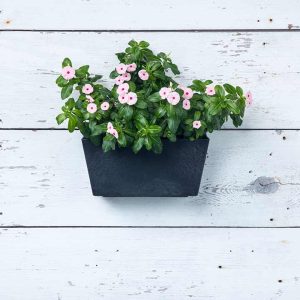 Ella Wall Planter 14.5″ – Artstone Black