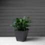 Ella Square Planter 12″ – Artstone Black