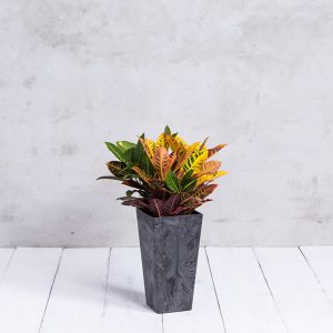 Ella Tall Planter 19.5″ – Artstone Black
