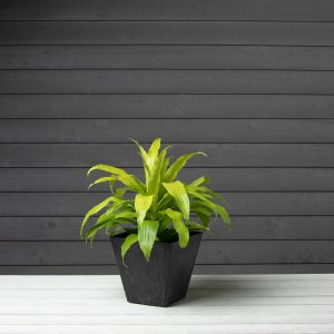 Ella Square Planter 10″ – Artstone Black
