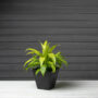 Ella Square Planter 10″ – Artstone Black