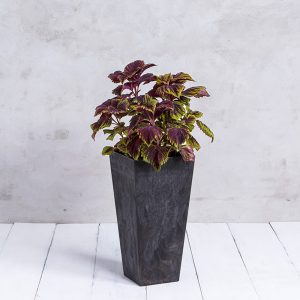 Ella Tall Planter 27.5″ – Artstone Black