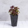 Ella Tall Planter 27.5″ – Artstone Black