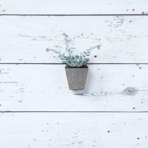 Ella Wall Planter 5.5″ – Artstone Grey
