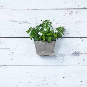 Ella Wall Planter 8.5″ – Artstone Grey