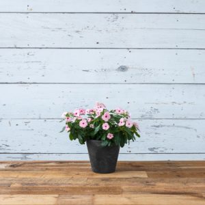 Napa Round Planter 6″ – Artstone Black