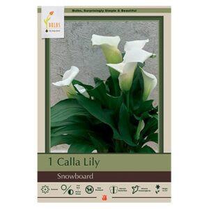 Calla Lily – Snowboard – 1 Pack