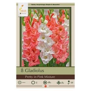 Gladiolus Large Flowering – Pretty In Pink Mix – 10 Pack