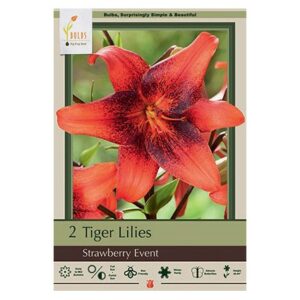 Tiger Lily – Strawberry Event – 2 Pack