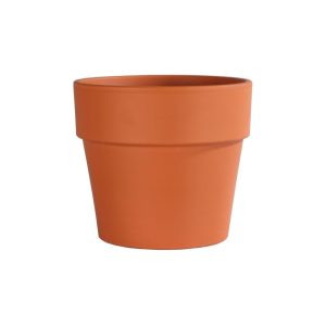 German Calima Pot – Border Concepts – Terra Cotta – 5″