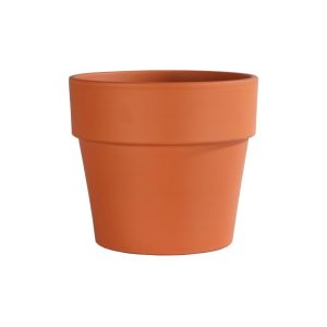 German Calima Pot – Border Concepts – Terra Cotta – 7.5″