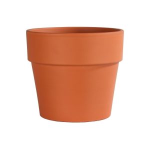 German Calima Pot – Border Concepts – Terra Cotta – 8.5″