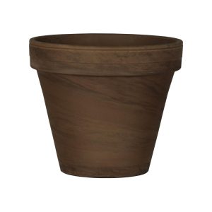 German Standard Pot – Border Concepts – Chocolate – 10.25″