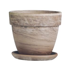 German Levante Pot With Saucer - Border Concepts - Chocolate - 7.5"