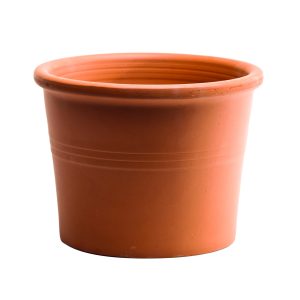 Italian Lipped Cylinder Pot – Border Concepts – Terra Cotta – 6.25"