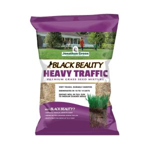 Black Beauty Grass Seed – Heavy Traffic – 25LB