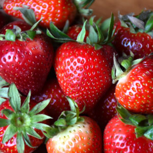 Strawberry – Ozark Beauty – 306 Pack