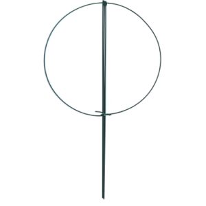 Peony Hoop 14″x24″ – Green