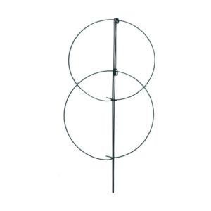 Double Peony Hoops 18″x36″ – Green