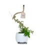 Original Bendable Coir Pole – Mossify – 30″